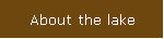 About the lake